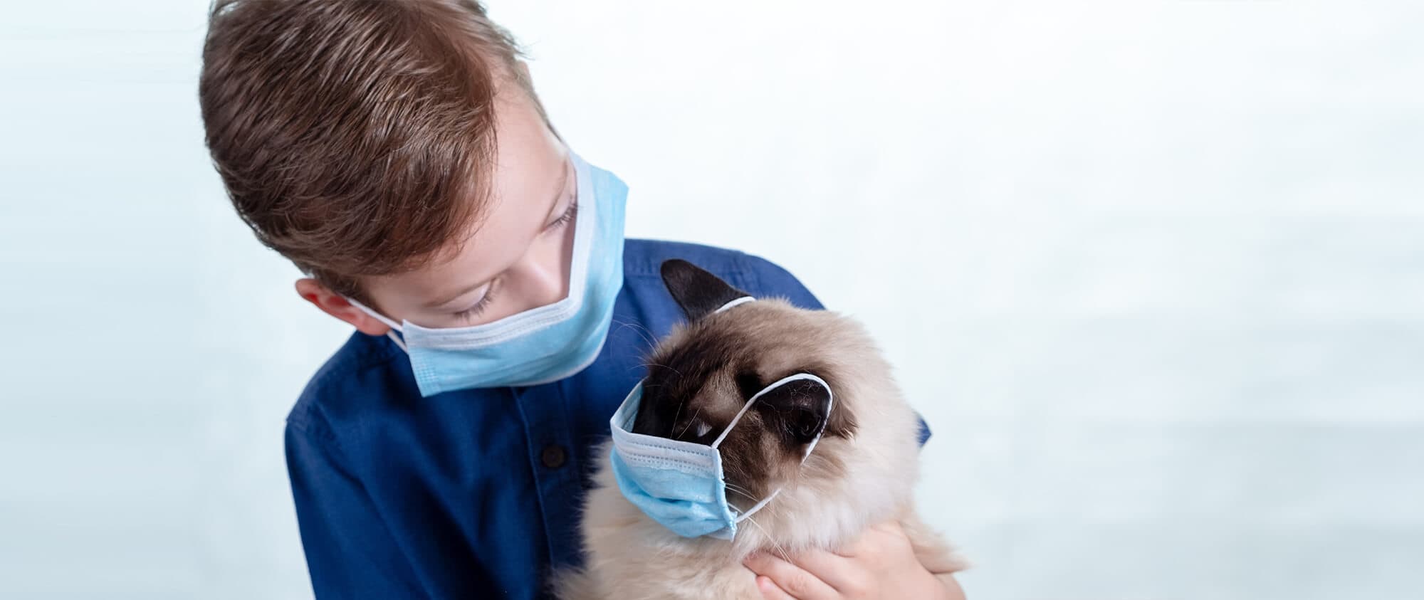 COVID-19 et animaux domestiques : mon enfant est-il en danger ?