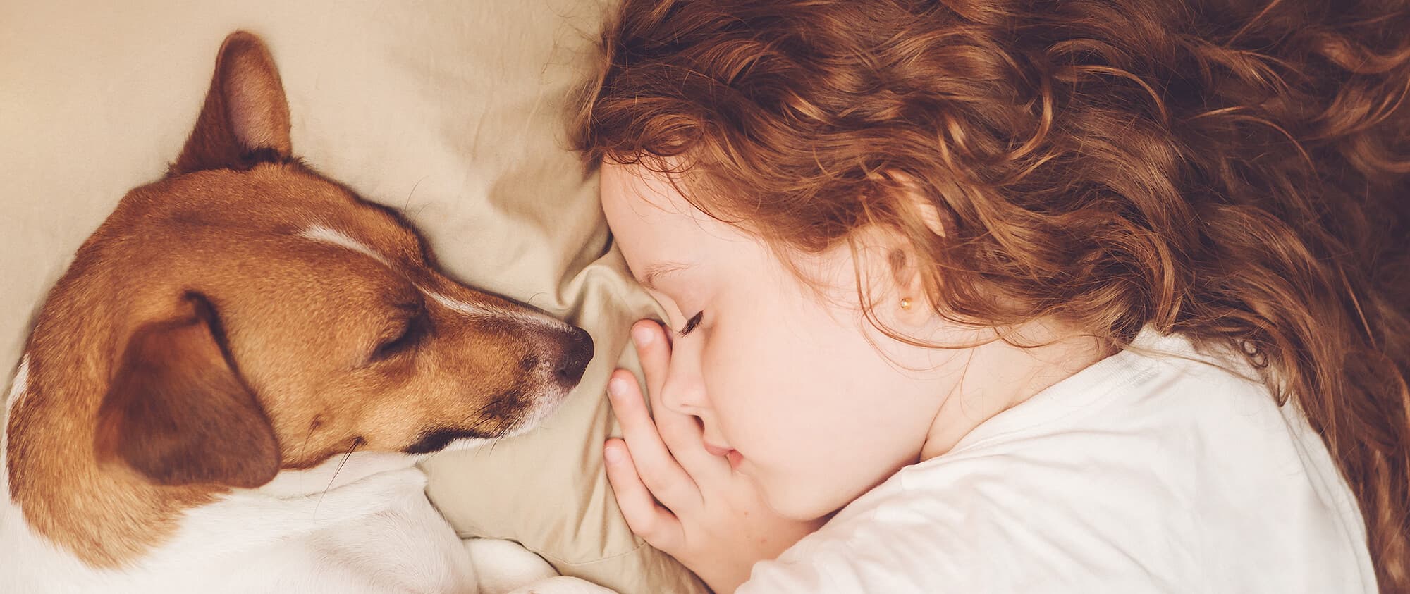 Est-ce normal si notre chien ou notre chat dort dans la même pièce ?