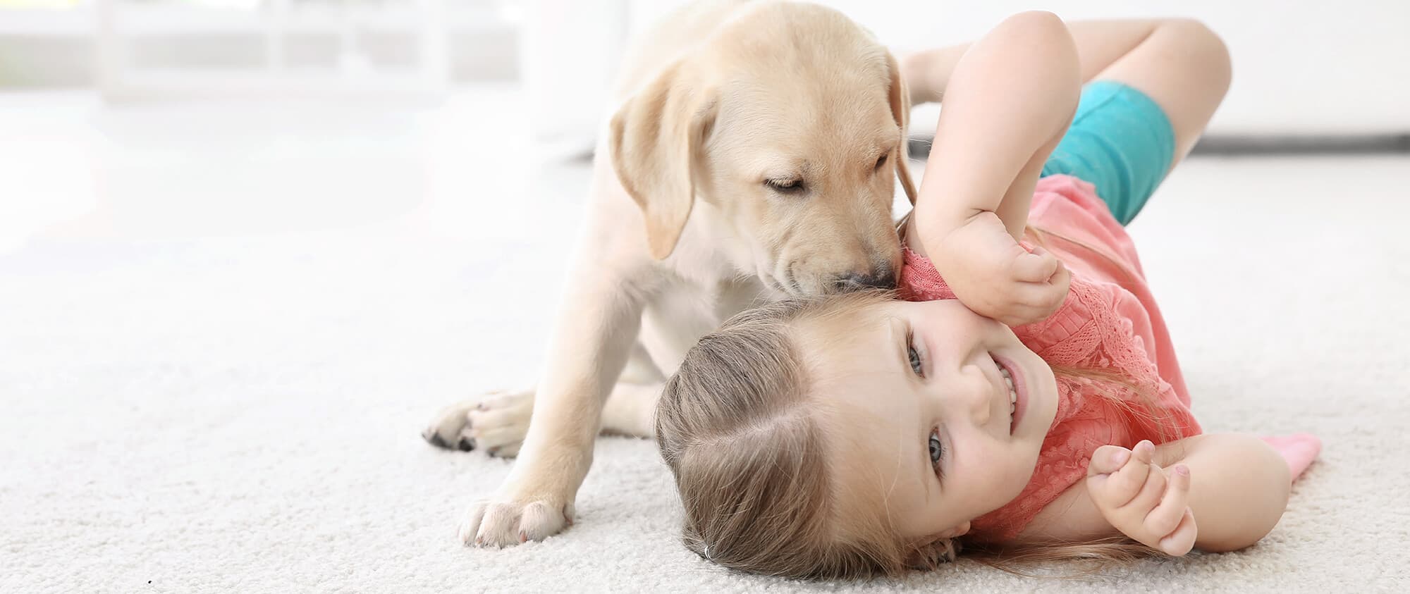 Pourquoi est-il recommandé d’avoir un animal de compagnie ?