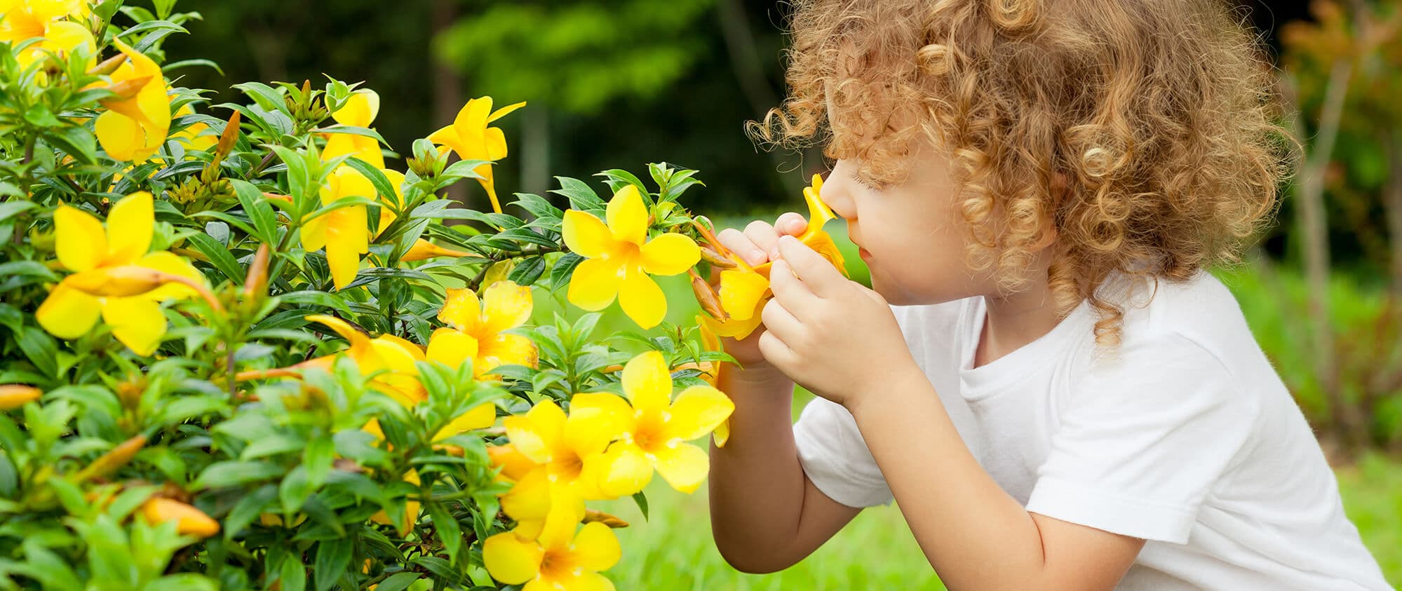 La pollution est partout mais comment puis-je protéger mon enfant ?